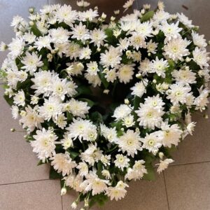 Coroană funerară flori naturale inimă, aprox. 60 cm – Crizantemă albă