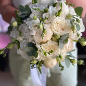 Ivory Dream
