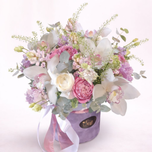 Pastel Orchid Elegance